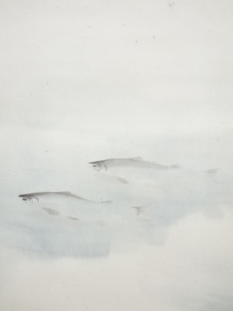 道具 ] - 道具 小寺雲洞筆 鮎 肉筆紙本掛軸（共箱）□z | ネット